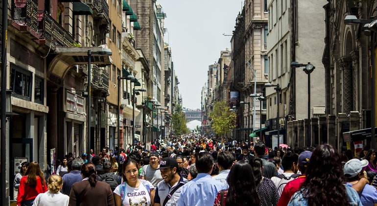 Recorrido a pie y Gastronómico por México Operado por DavidTomlinson