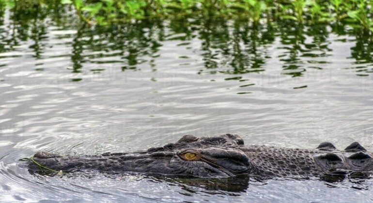 Aventure sur la côte ouest, Sri Lanka