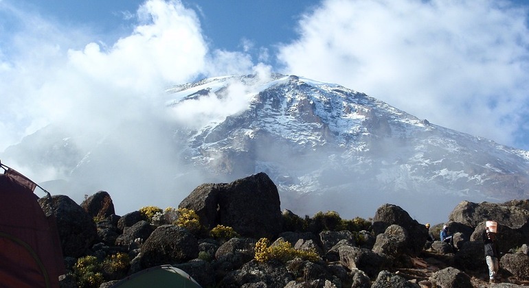 Kilimanjaro Hike from Marangu Gate to Mandara Hut