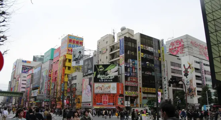 Akihabara & Japanese Otaku Culture Tour in Tokyo Provided by Tiago Alves