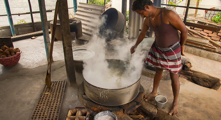 Descubra el Arte de Fabricar Jengibre en Kandy