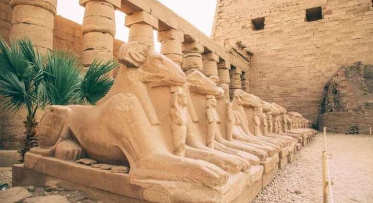 Descubre los Lugares Emblemáticos de Luxor Operado por Egy For Tours