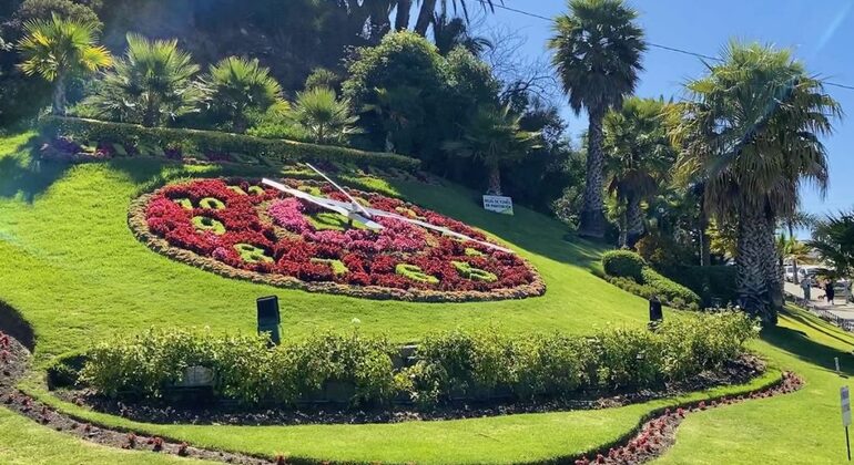 Viña del Mar: The Garden City Overlooking the Sea Provided by ZehnderTour 