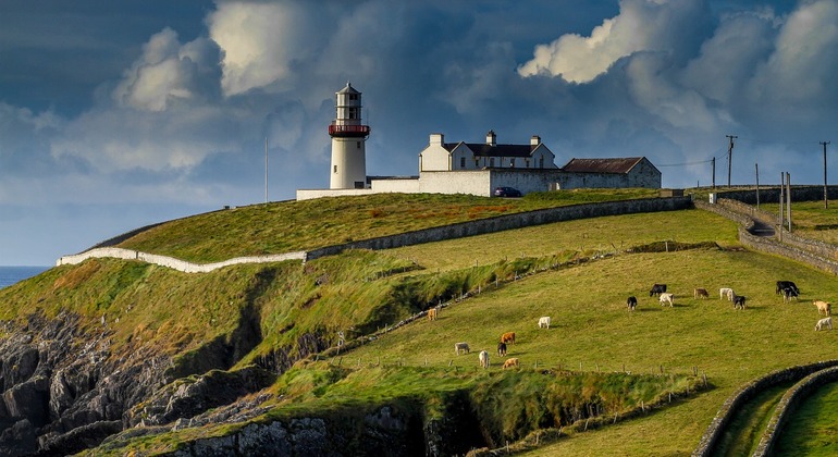 Viagem privada de um dia pela Irlanda a partir de Dublin Organizado por Alberto Duarte de Oliveira