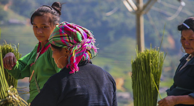 mountain-trekking-to-rice-terraced-fields-and-villages-en-9