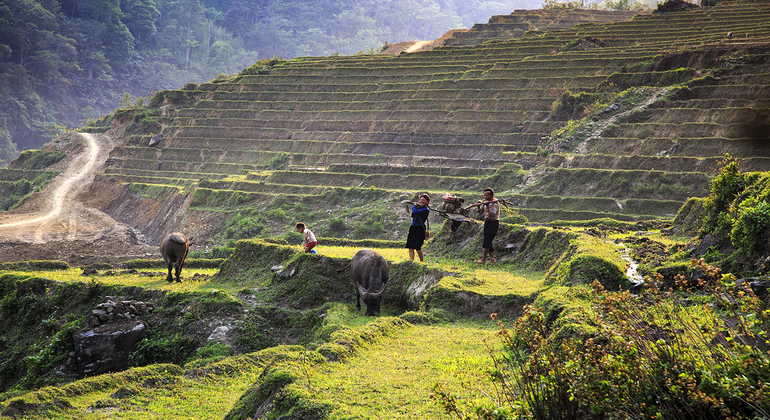 mountain-trekking-to-rice-terraced-fields-and-villages-en-15