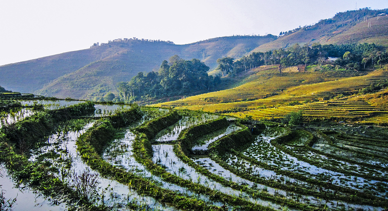 mountain-trekking-to-rice-terraced-fields-and-villages-en-13