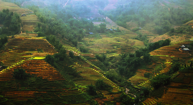 Mountain Trekking to Rice Terraced Fields and Villages - Sapa ...