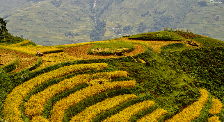 mountain-trekking-to-rice-terraced-fields-and-villages-en-4