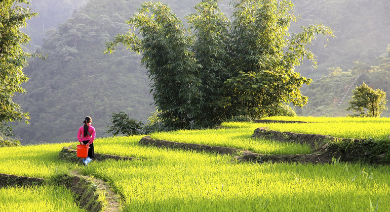 mountain-trekking-to-rice-terraced-fields-and-villages-en-16