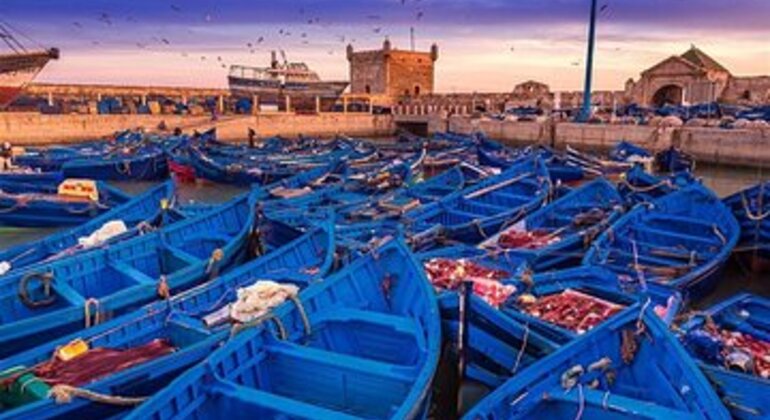 Excursion d'une journée de Marrakech à Essaouira