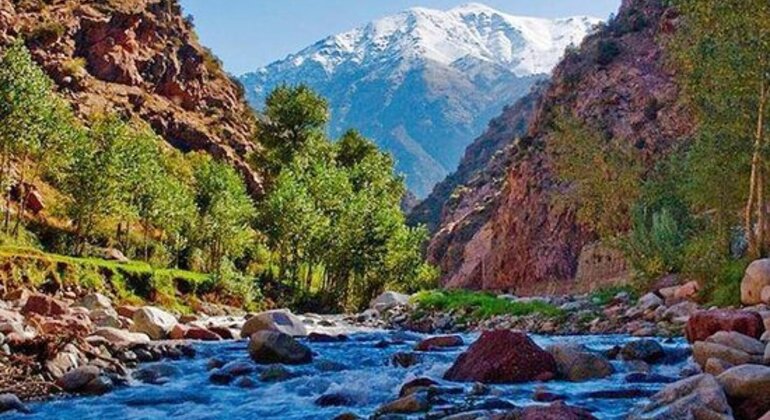 Valle dell'Ourika: Una giornata di esplorazione da Marrakech