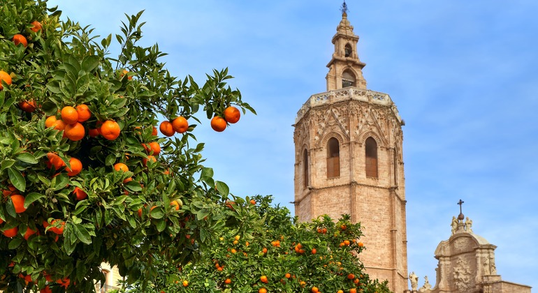 Private Walking Tour of Valencia Highlights