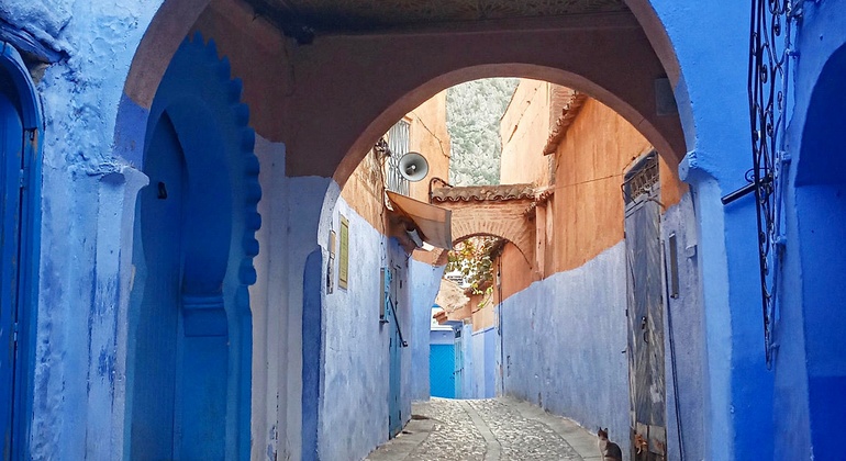 Explore Chefchaouen Charm with a Local