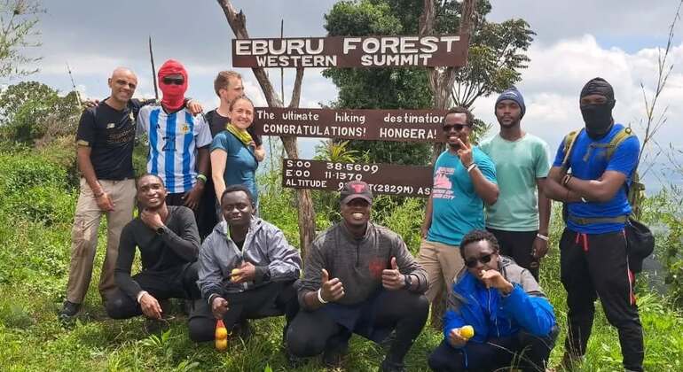 Discover the Tranquility of Eburru Forest