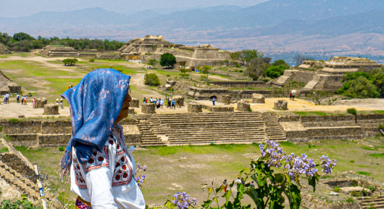 Walking Tour of Monte Albán Provided by Oaxaca by locals