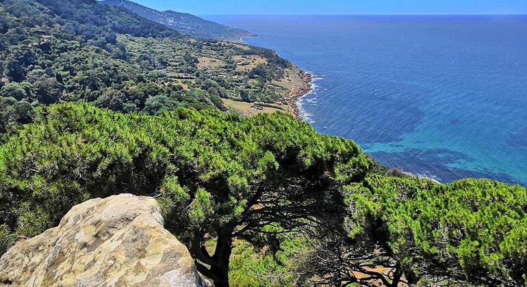 Découvrir la nature et la culture de Tanger Fournie par Naoufal