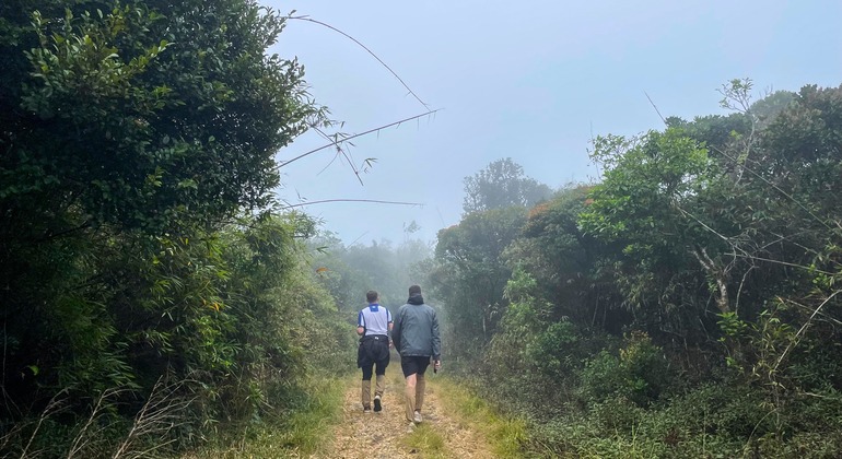 Walk to Corbett’s Gap: A Window to Nature's