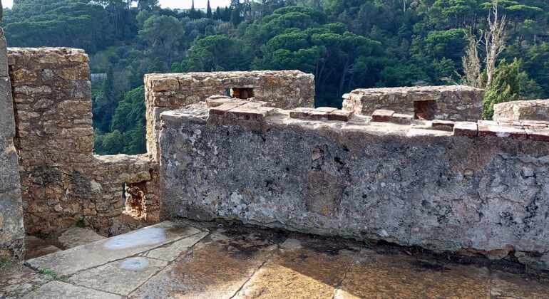 explore-the-templar-heritage-of-tomar-castle-convent-en-2