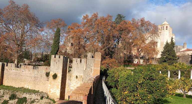 explore-the-templar-heritage-of-tomar-castle-convent-en-4