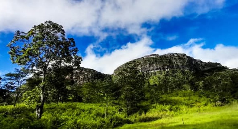 Aventura en el Sendero Pekoe, Primera Etapa