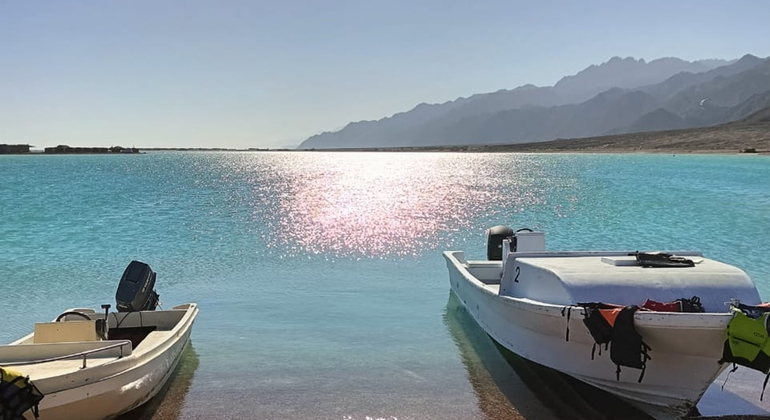 Escape to the Blue Lagoon with Berry Tours