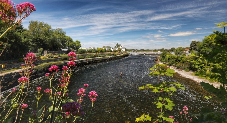 Atlantic Salmon of Galway and Ireland, Ireland