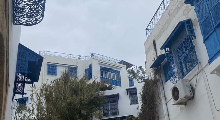 Visita gratuita de Túnez: Medina y Sidi Bou Side