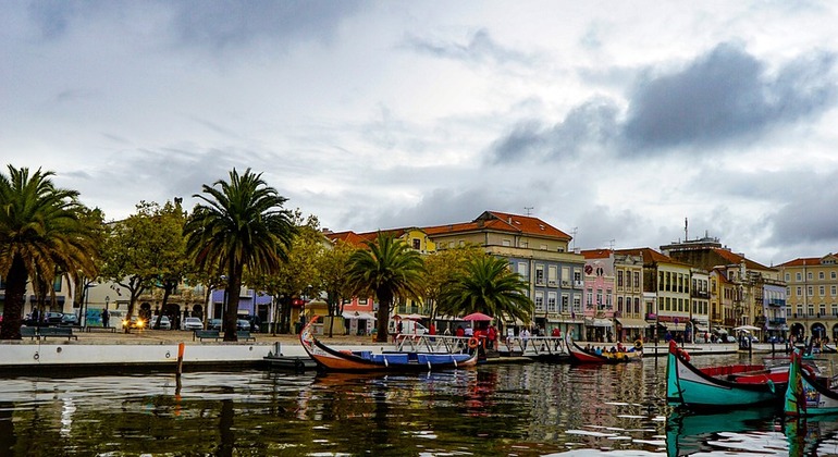 Walking Tour Around Aveiro Provided by Filipe Magalhaes