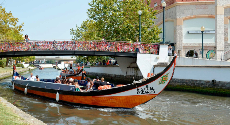 Moliceiro Ride in Aveiro Provided by Filipe Magalhaes