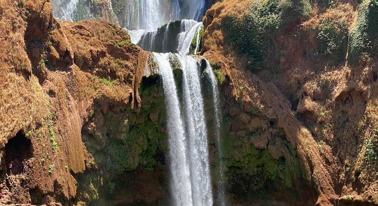 Tour di Marrakech: Escursione di un giorno alle cascate di Ouzoud con guida Fornito da Easy Travel Marrakech