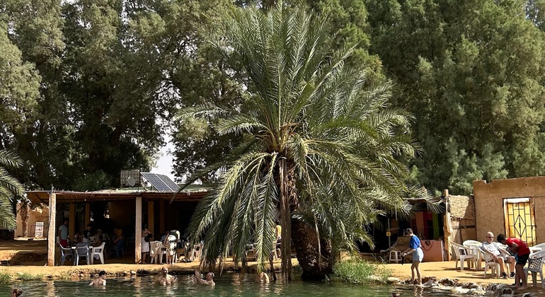 Explore Desert Ksar Ghilane on a Day Tour in 4x4