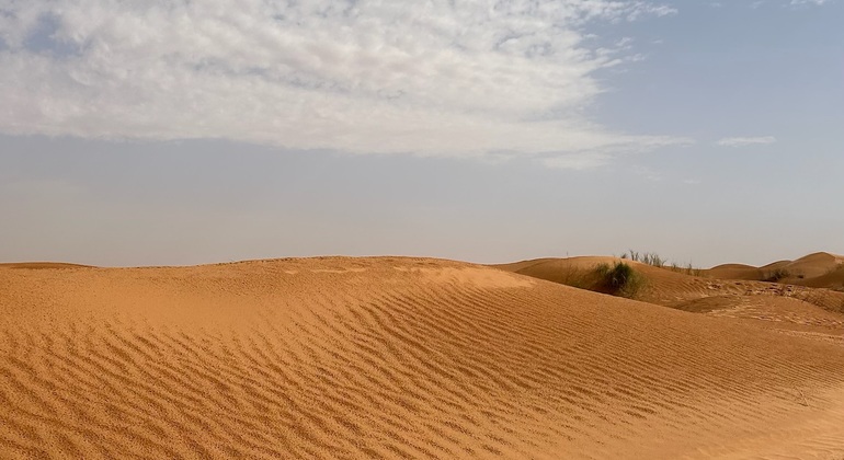 explore-desert-ksar-ghilane-on-a-day-tour-in-fourxfour-en-1