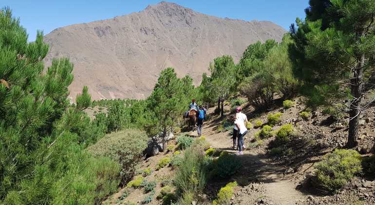 excursions-imlil--the-atlas-mountains-en-3