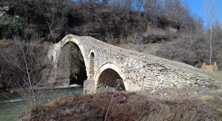 Descubra la Historia y las Joyas Ocultas de Pogradec