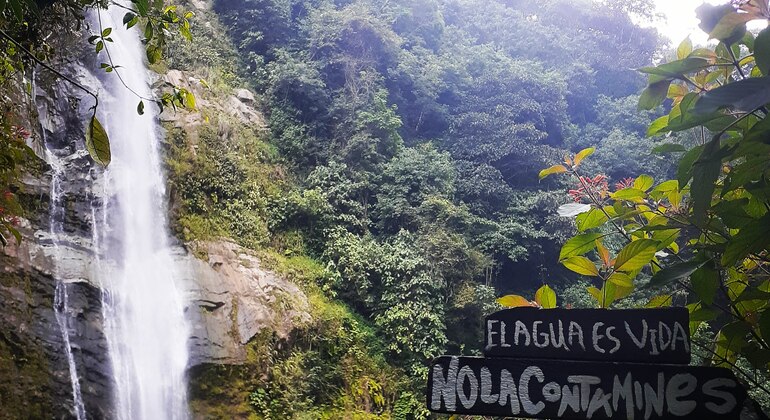 Senderismo Armenia: Chorros de San Rafael Calarcá, Quindío