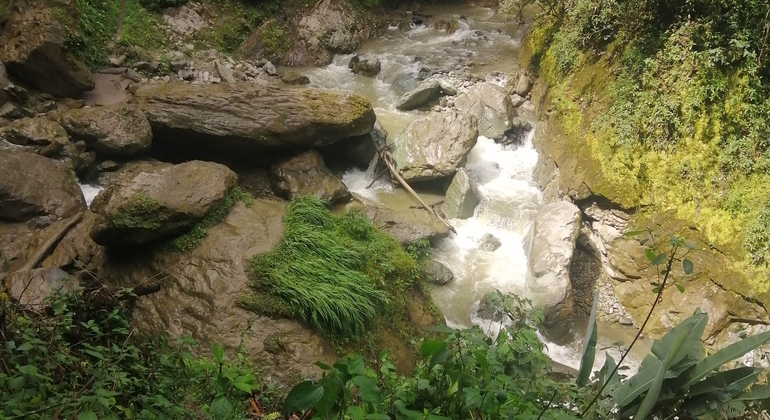 senderismo-chorros-de-san-rafael-calarca-quindio-en-1