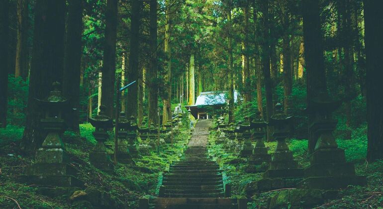 Viaje Espiritual de Kyushu a la Garganta y el Santuario de Takachiho