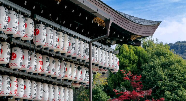 Desde Osaka: Templo Kiyomizu-Dera, Excursión de un día al Parque de Nara