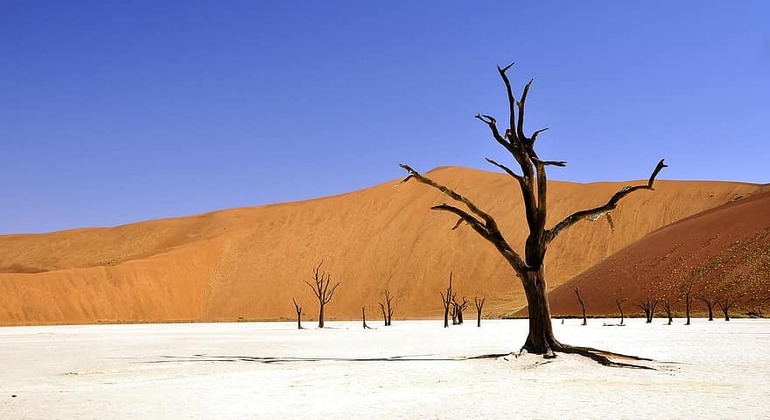 Excursión de un Día a Namib Naukluft y Sossusvlei