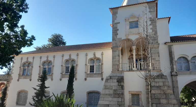 Free Tour Around Évora: The History of the City Provided by Planeta A