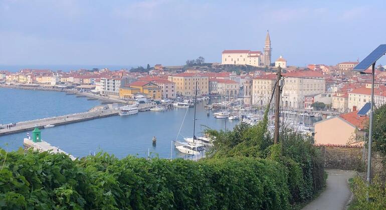 Guided Tour of the Legends of the City of Piran