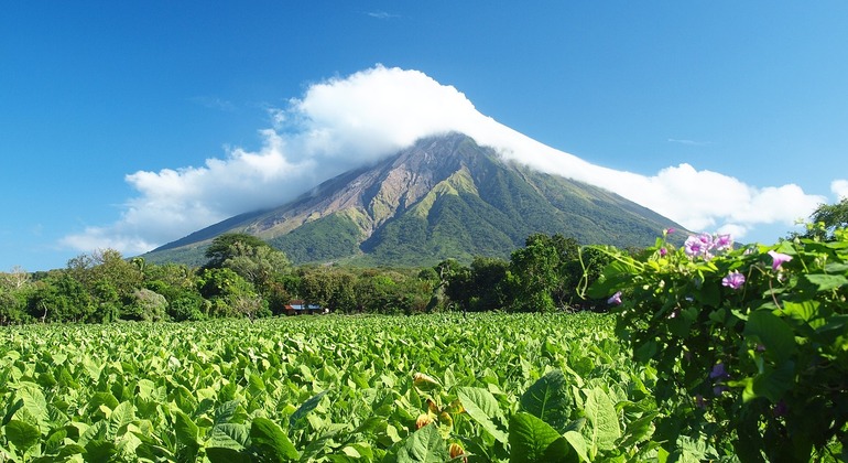 Economic Adventure on the Concepcion Volcano