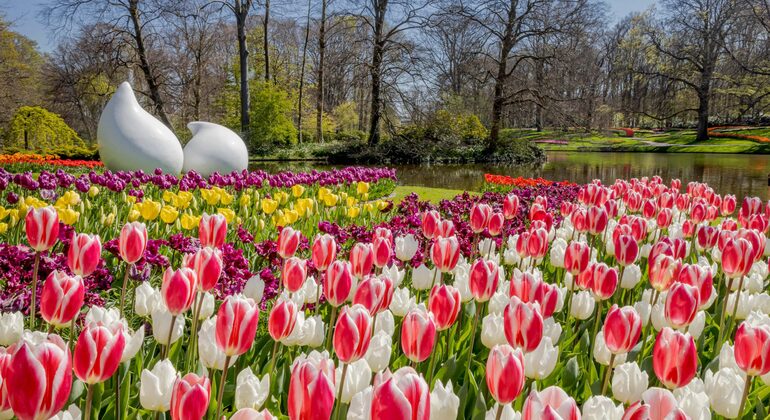 Keukenhof Flower Adventure from Amsterdam