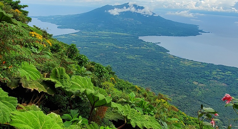 Caminata Privada al Volcán Concepción en la Isla de Ometepe