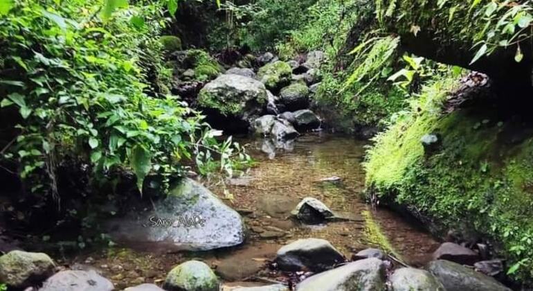 hiking-adventure-in-tepoztlans-sacred-mountains-en-5