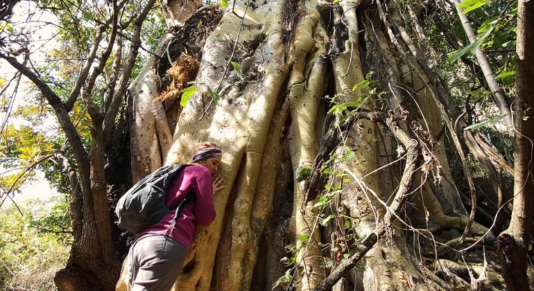 hiking-adventure-in-tepoztlans-sacred-mountains-en-6