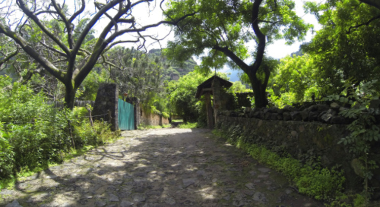 hiking-adventure-in-tepoztlans-sacred-mountains-en-9