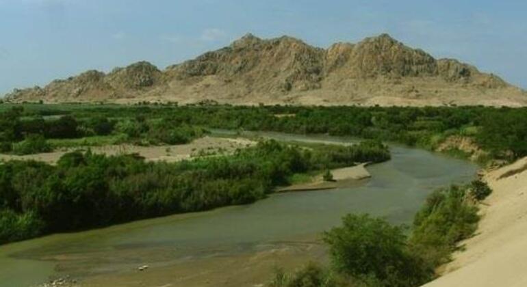 discover-the-sacred-power-of-cerro-ventarron-en-10