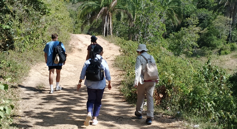 tour-a-las-cascadas-chicala-en-2